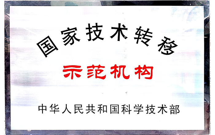 國家技術(shù)轉(zhuǎn)移示范機(jī)構(gòu).png